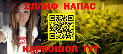 шишки Нарткала
