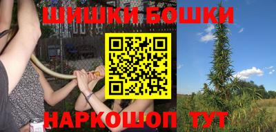 шишки Нарткала