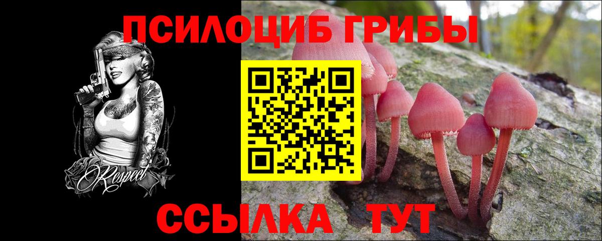 Псилоцибиновые грибы Psilocybe Тихорецк
