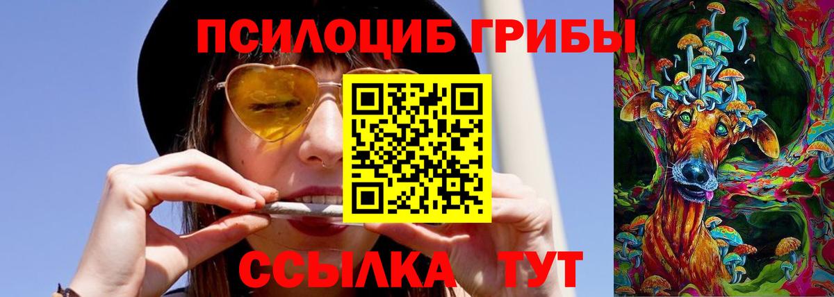 Галлюциногенные грибы мухоморы  Галлюциногенные грибы Magic Shrooms  Вход с VPN  Тихорецк 